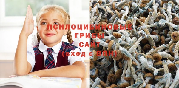 мяу мяу мука Новокубанск