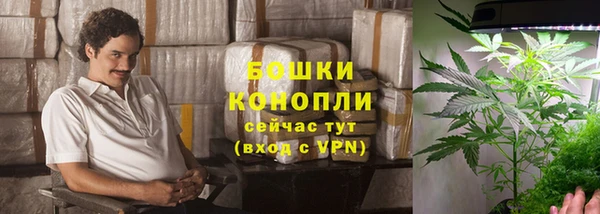 каннабис Новозыбков
